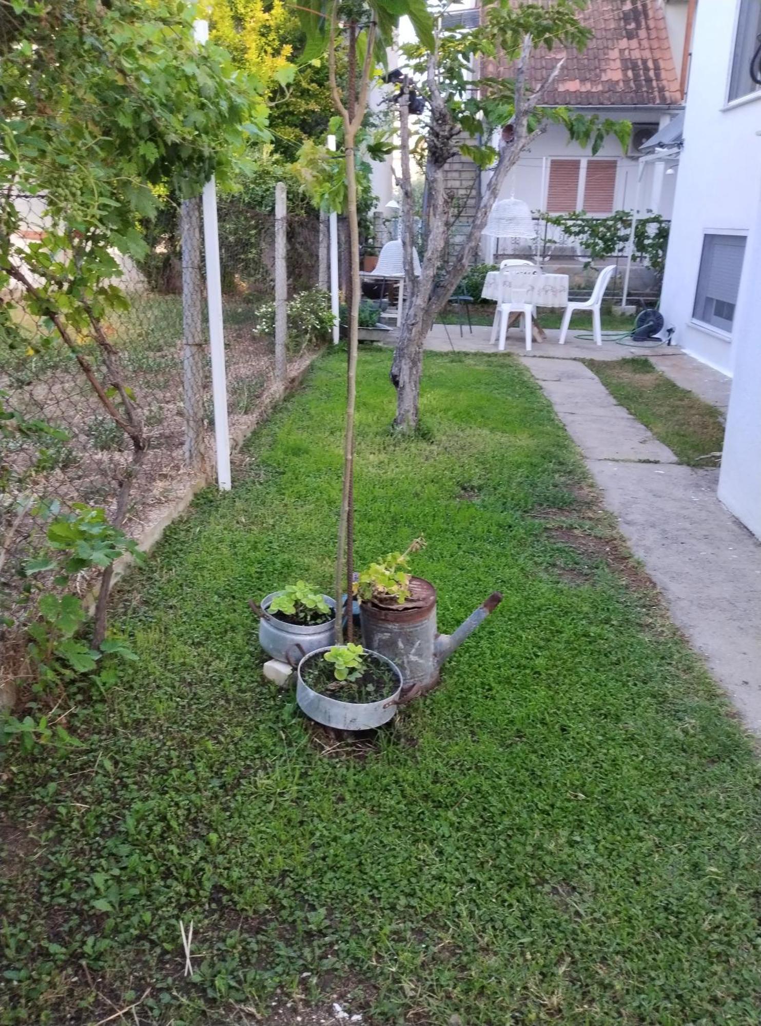 Θαλασσινή Αυρα Villa Vrasná Buitenkant foto