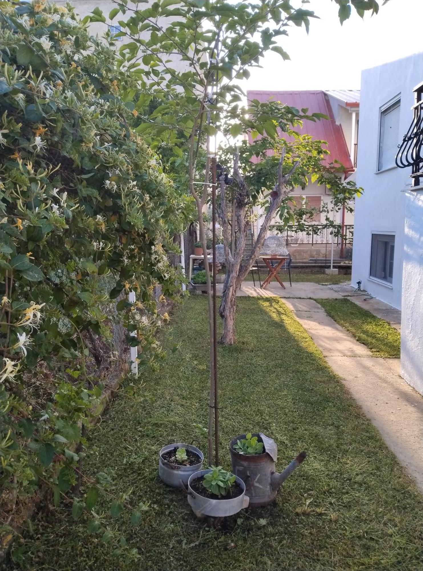 Θαλασσινή Αυρα Villa Vrasná Buitenkant foto